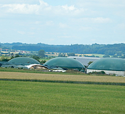 Biogasanlage Klaus Hahn, Dornhausen