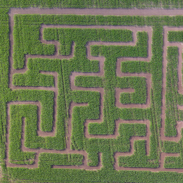 Maislabyrinth Herrieden Maislabyrinth