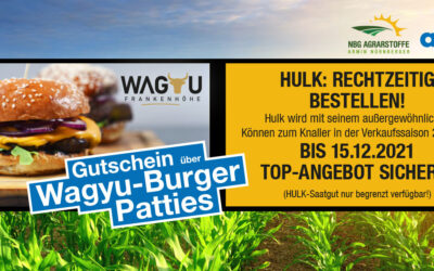 Maissaatgut jetzt bestellen!